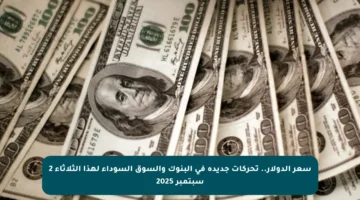 سعر الدولار.. تحركات جديدة في البنوك والسوق السوداء لهذا الثلاثاء 2 سبتمبر 2025